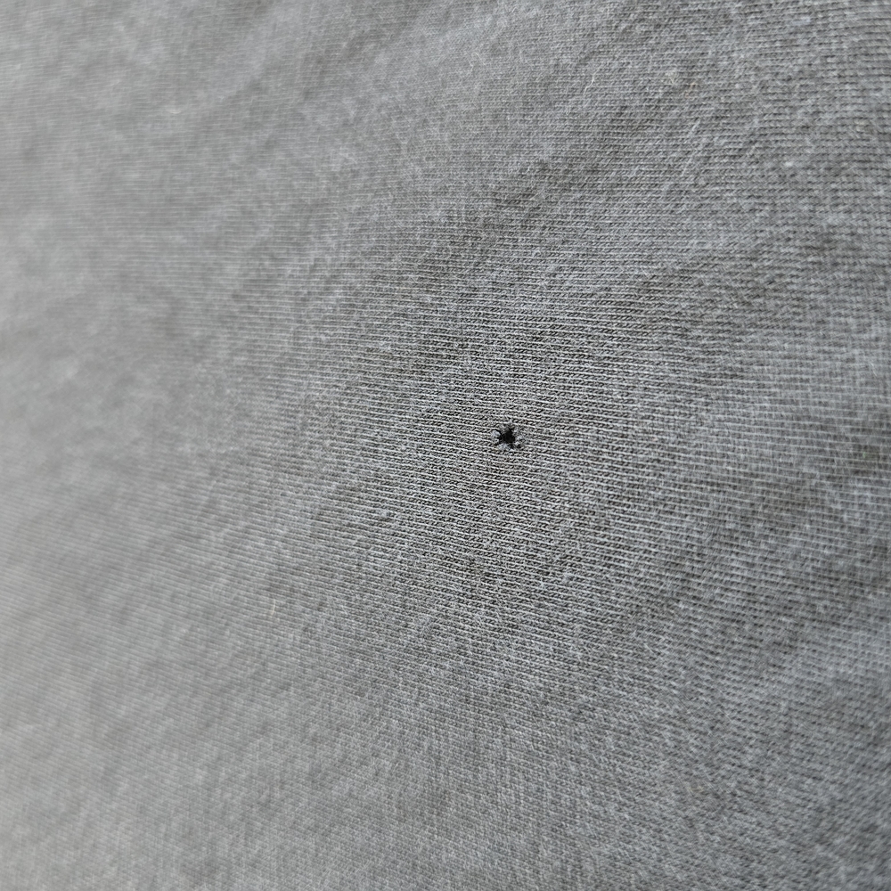 2019 Bee Tee - image 4